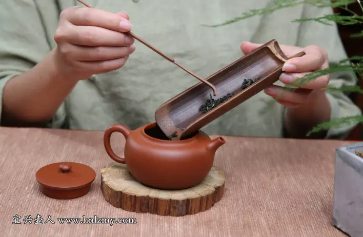 用紫砂壶泡茶