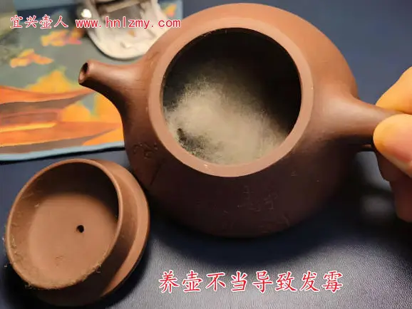 紫砂壶养坏发霉