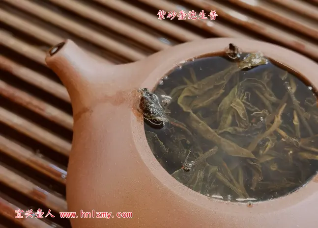 生普用什么紫砂壶泡最好？分享紫砂泡生普的技巧