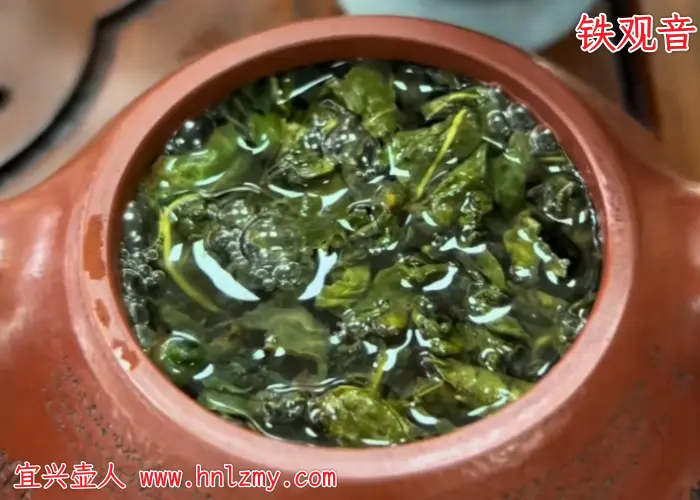 紫砂壶泡铁观音示意图