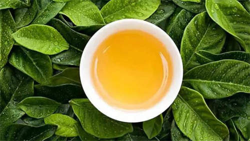 喝不同的茶叶有什么功效和作用 3