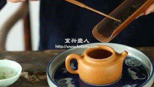 粗砂紫砂壶适合泡什么茶