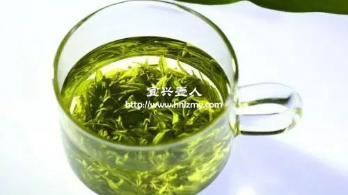 绿茶怎样区分新茶和陈茶