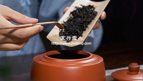 泡普洱茶用什么紫砂壶比较好 2