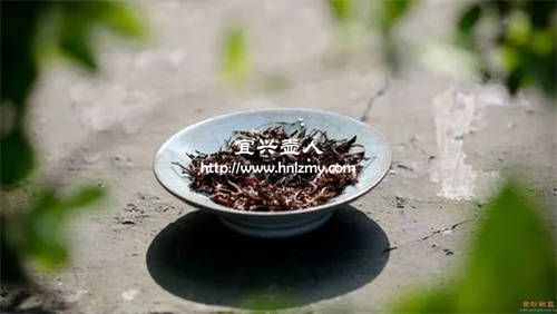 宜兴人用什么茶叶养万博体育3.0手机版