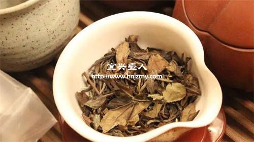 夏季紫砂茶壶喝什么茶好