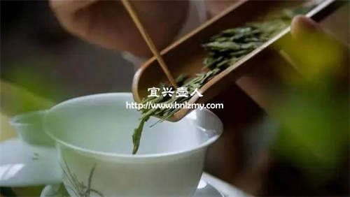 紫砂壶到底能不能泡绿茶