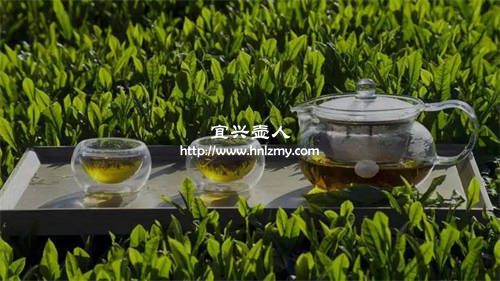绿茶保存的方法