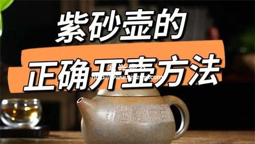 不同泥料紫砂壶可以一起开壶吗