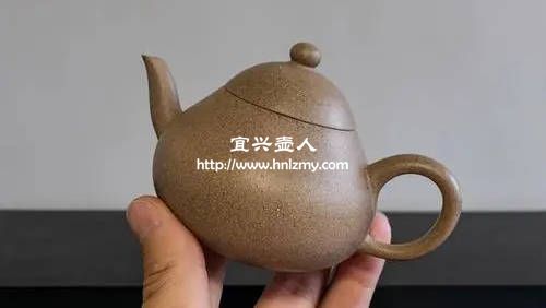 梨形紫砂壶适合泡什么茶