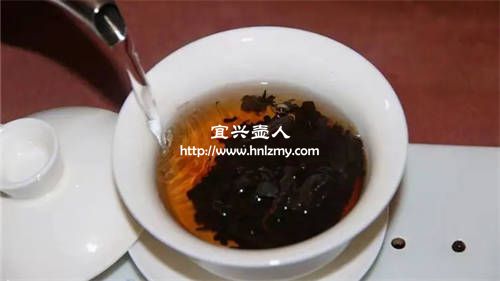 紫砂壶适合泡什么茶