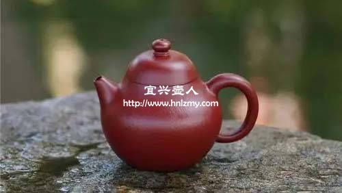 文旦壶适合泡什么茶2