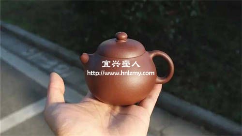 文旦壶适合泡什么茶