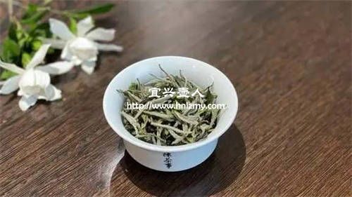 白茶用哪种紫砂壶冲泡最好