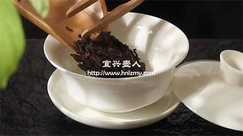 什么茶具适合泡普洱茶