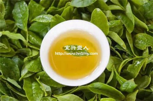 中国绿茶的种类有哪些