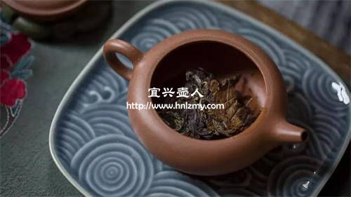 茶叶整天泡紫砂壶里可以养壶么