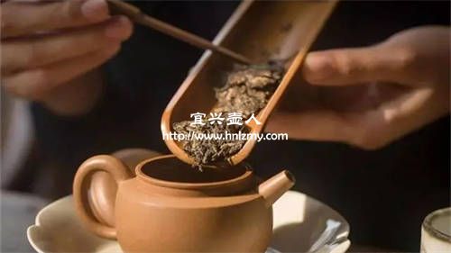 用紫砂壶怎么泡普洱茶