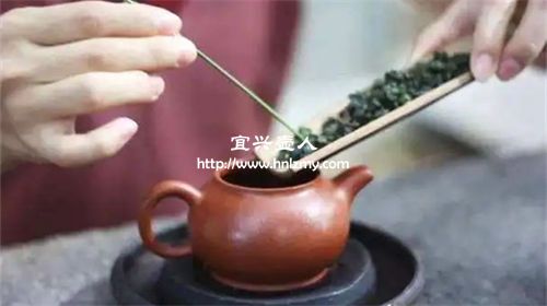 普洱茶和红茶可以用一个紫砂壶泡吗