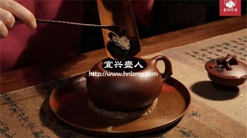 紫砂壶泡茶泥料和茶叶怎么搭配