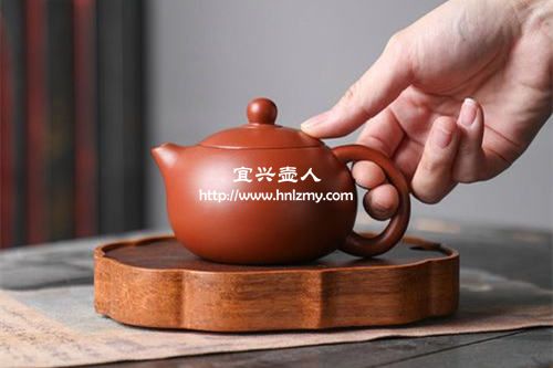 朱泥万博体育3.0手机版用什么茶养最好