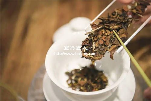 白茶的陈香是什么味