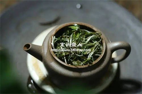 白牡丹茶能用紫砂壶泡吗