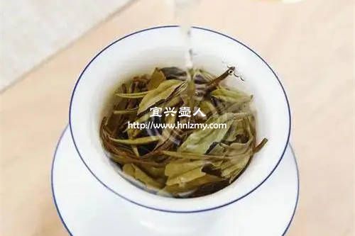 白牡丹茶能用紫砂壶泡吗