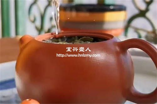 金骏眉和普洱茶能用 一个紫砂壶