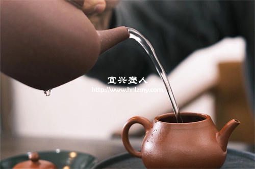 紫砂壶到底泡什么茶比较好