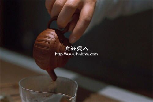 紫砂壶到底泡什么茶比较好
