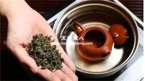 紫砂壶开壶要放茶叶煮吗