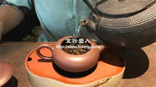 泡普洱茶的紫砂壶该怎么选