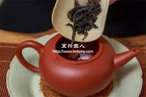 紫砂壶必需要一壶一茶