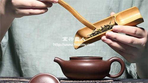 450cc紫砂壶泡什么茶好