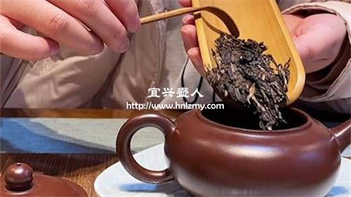 黑茶能用紫砂壶泡吗