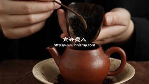 普洱茶熟茶能用紫砂壶泡吗2