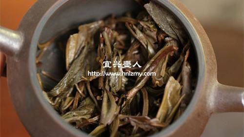 普洱茶能用紫砂壶泡吗2