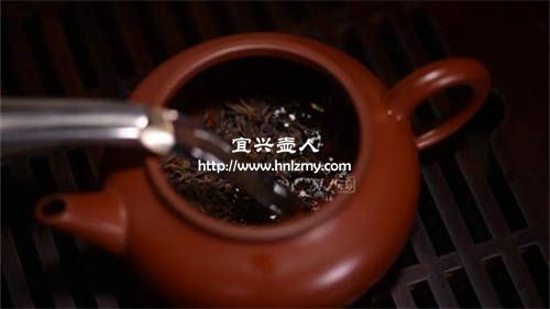 紫砂壶泡普洱茶