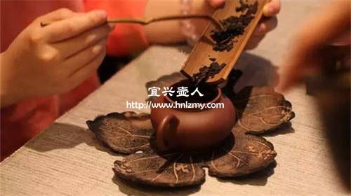 普洱茶能用紫砂壶泡吗1
