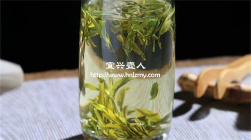 霍山黄芽能用紫砂壶泡吗1