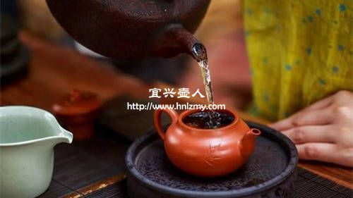 已经养过的紫砂壶也能更换茶叶