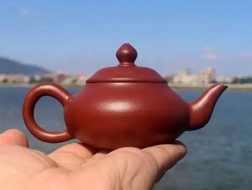 在拼多多上买的大红袍茶壶是真的吗