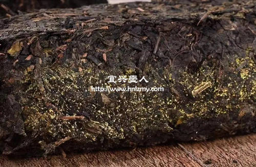 六堡茶能用紫砂壶泡吗3