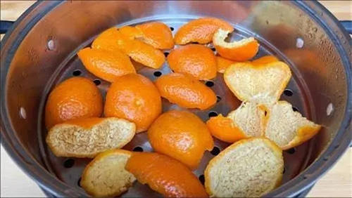 陈皮是橘子皮橙子皮还是柑子皮2