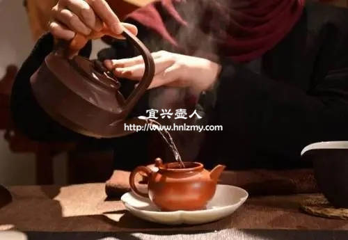 新的紫砂壶冲泡茶叶是会吸收茶香的