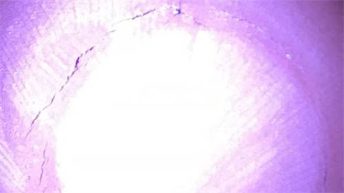 刚买的紫砂壶底部出现裂纹怎么办