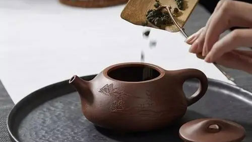 紫砂壶泡什么茶最好