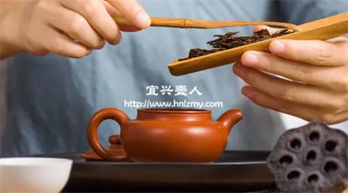 紫砂壶冲泡普洱茶的主要步骤