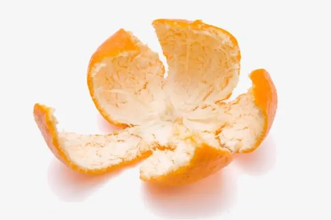 普通的橘子皮是陈皮吗